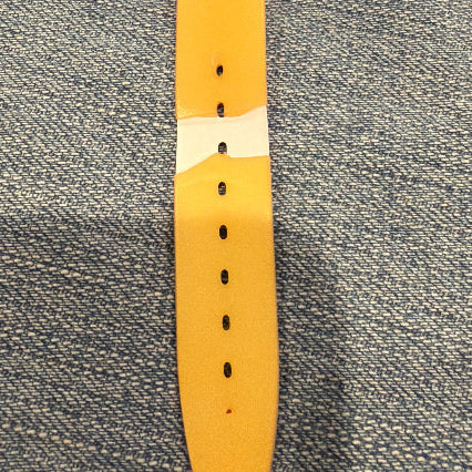 Swatch Watch Fluo Seal (GV700)