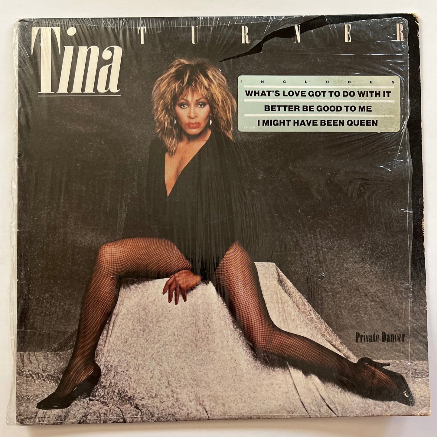 Tina Turner “Private Dancer”